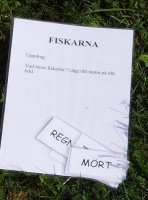 /album/bildgalleri/vad-heter-fiskarna2-jpg/